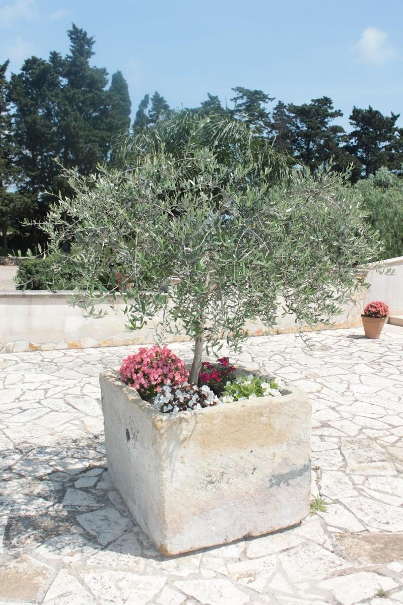 אוטרנטו Tenuta Turchi מראה חיצוני תמונה